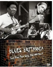 BBC 英国蓝调音乐发展史