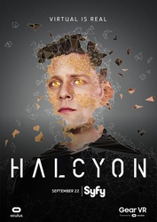 翡翠鸟TheHalcyon