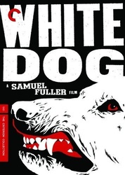 白狗WhiteDog