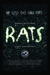 【纪录片】老鼠Rats