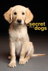 狗的秘密生活SecretLifeofDogs